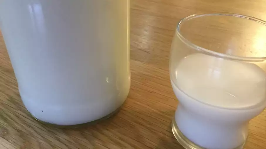 Un lait végétal original, pas compliqué à réaliser.